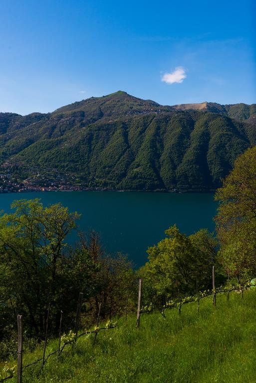 Tra Lago E Montagna Baita La Morena Нессо Экстерьер фото