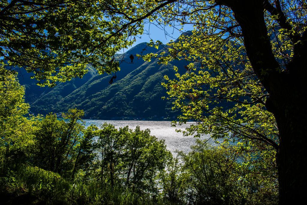 Tra Lago E Montagna Baita La Morena Нессо Экстерьер фото