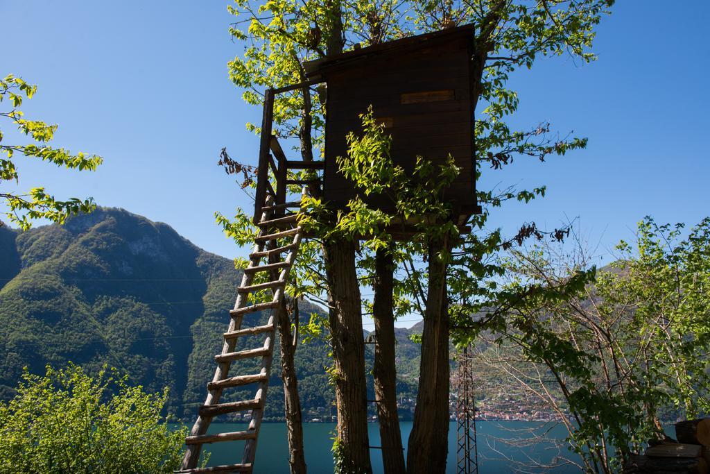 Tra Lago E Montagna Baita La Morena Нессо Экстерьер фото