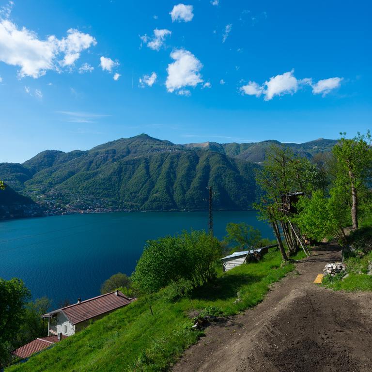 Tra Lago E Montagna Baita La Morena Нессо Экстерьер фото